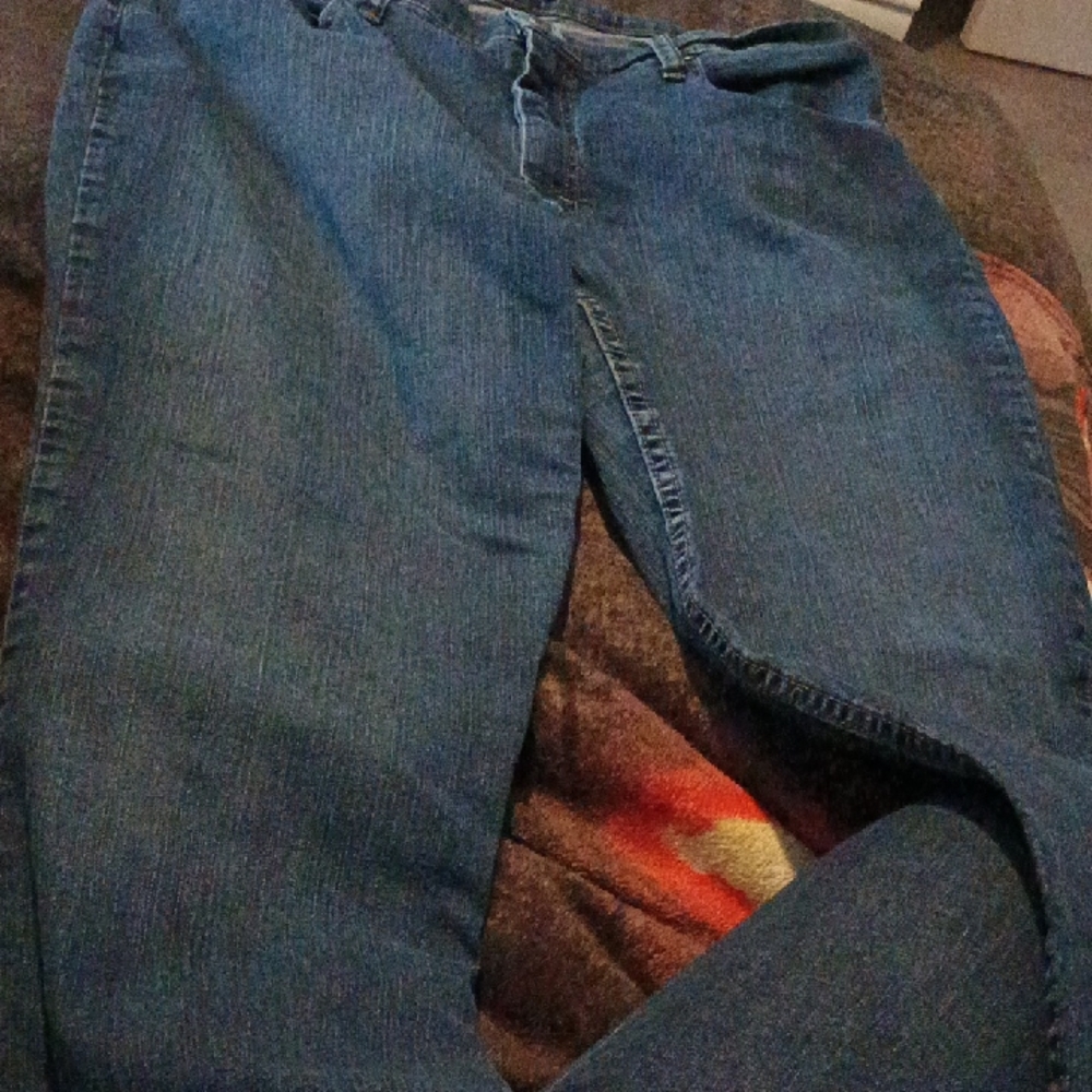 Woman's Riders By Lee Jeans